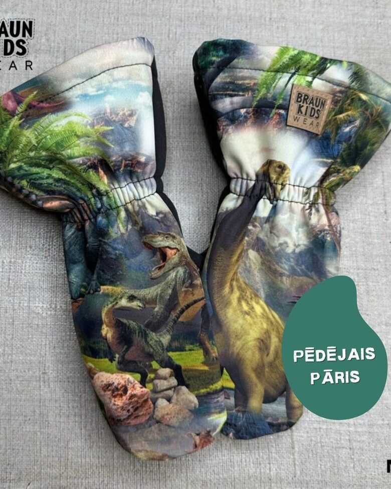 Starpsezonas softshell cimdi - dinozauri ar tumši pelēku Nr. 49 